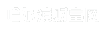 哈尔滨财富网
